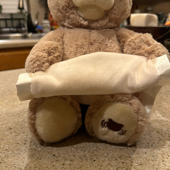 Baby GUND Animated Peek a Boo Bear Stuffed Plush Toy - 6053525 - Picture 10 of 14